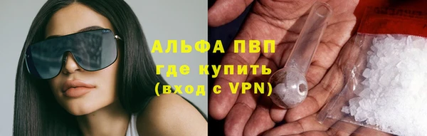 гидра Алексин
