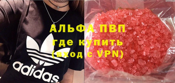 гидра Алексин