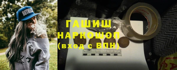 гидра Алексин