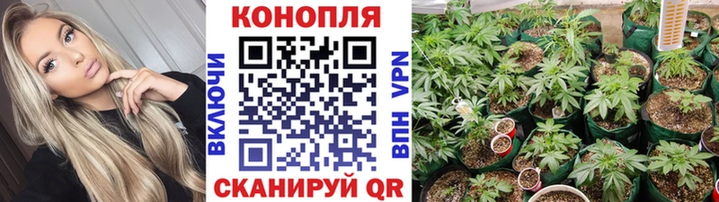 купить закладку  Новоузенск  Конопля VHQ 